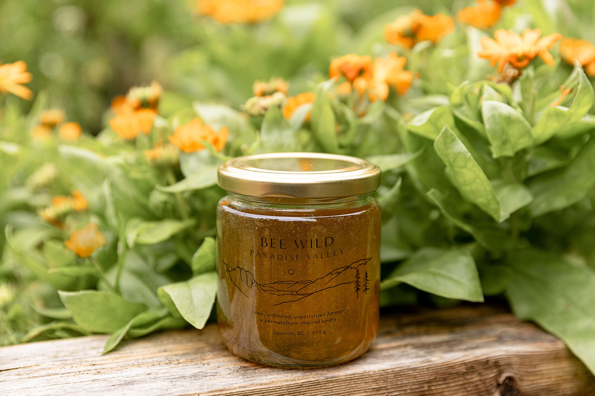 Autumn Gold Honey | Bee Wild Paradise Valley | Squamish, BC